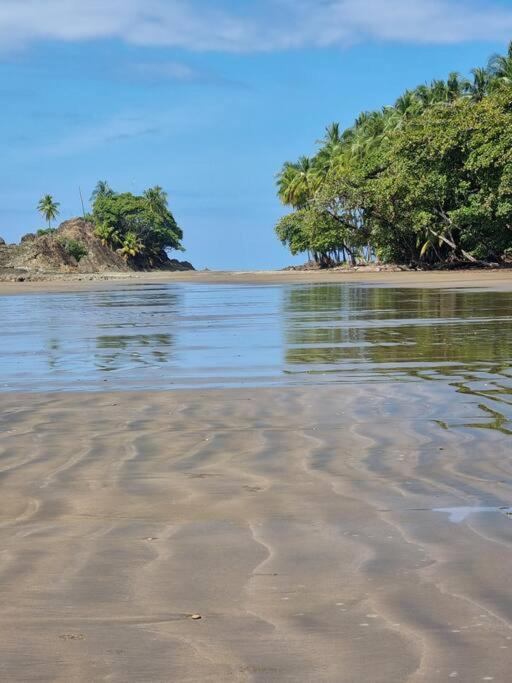 Villa Amor Del Mar With Breathtaking View Of Ocean & Jungle Dominical Exterior photo